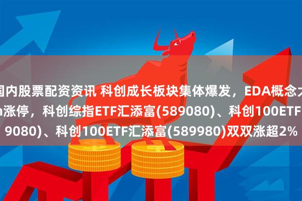 国内股票配资资讯 科创成长板块集体爆发，EDA概念大涨，概伦电子20cm涨停，科创综指ETF汇添富(589080)、科创100ETF汇添富(589980)双双涨超2%