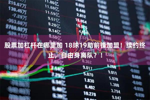 股票加杠杆在哪里加 18球19助前锋加盟！续约终止，自由身离队？！